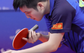 德甲暂停,火速回国!樊振东回归备战